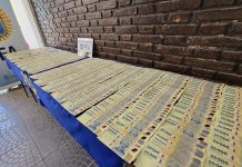 Crearon una guía para identificar pesos, dólares y euros truchos: cómo darse cuenta