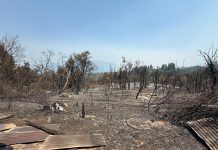 El Gobierno otorgó un préstamo a Río Negro para recuperar El Bolsón tras los incendios forestales