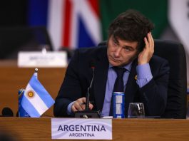 En línea con Estados Unidos, el Gobierno comunicó que no acompañó el documento final del G20 en Johannesburgo