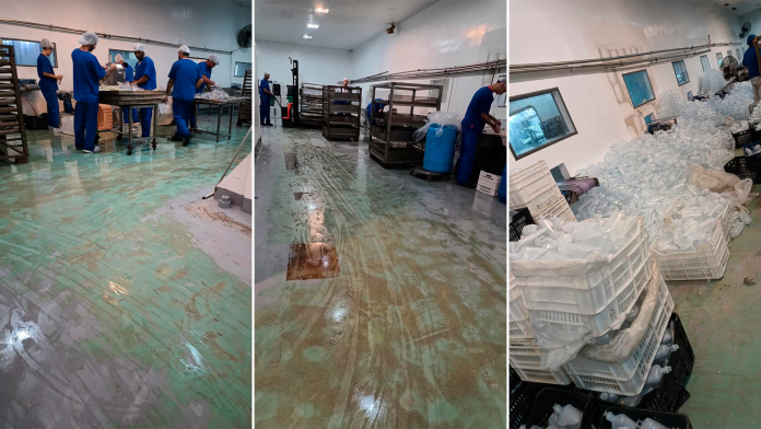 Fentanilo mortal, a seis meses de la peor tragedia sanitaria: 173 fallecidos, 14 procesados y 6 detenidos