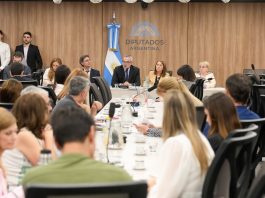 Fentanilo mortal: el juez Kreplak dijo en Diputados que “en el Estado no existe capacidad de monitoreo en tiempo real”