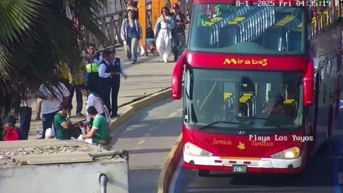 Murió un hincha de Palmeiras tras caerse de un bus durante una excursión turística en la previa de la final de Copa Libertadores