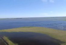 Patricia Bullrich criticó la gestión bonaerense por las inundaciones y anunció un operativo: “Esto es un desorden”