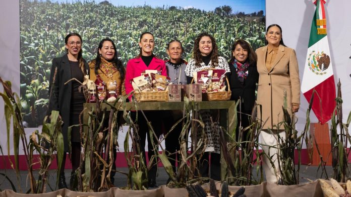 Presentan Plan Nacional de Maíz Nativo: así se buscará impulsar el cultivo y comercio de maíz mexicano