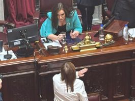 Primer cruce en el Senado: Bullrich le reclamó a Villarruel “que sea pareja para todos”