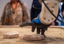 Científicos italianos unen las piezas de los frescos de Pompeya con la ayuda de un robot