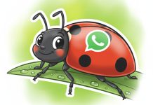 Cómo activar el “modo vaquita de San Antonio” de WhatsApp