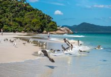Cuál es la mejor playa de Florianópolis, según la IA