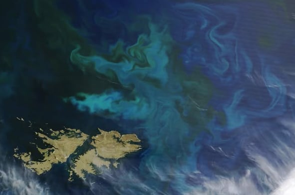 El Gobierno rechazó el desarrollo de un yacimiento offshore para extraer petróleo al norte de las Islas Malvinas