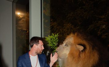 “Ojo a las caras de Lionel”: el video de las increíbles reacciones de Messi durante su visita a un santuario de animales en la India