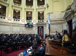 Presupuesto 2026: cuáles son los artículos que la oposición buscará eliminar en el Senado