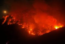 Chubut: el Gobierno vincula los incendios forestales a la existencia de grupos autoproclamados mapuches
