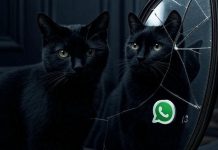 Cómo activar el “modo martes 13” de WhatsApp