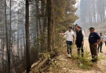 Ignacio Torres pedirá incorporar el ecocidio al Código Penal tras los incendios en Chubut