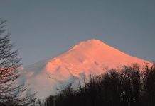 La historia detrás de la medallista alemana que compitió con la camiseta de Boca: su conexión con Argentina, Maradona y las empanadas