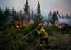 La oposición presiona para aumentar los recursos destinados a combatir los incendios en la Patagonia