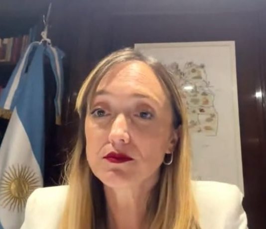 Anabel Fernández Sagasti aseguró que la reforma laboral “solo perjudica a laburantes y jubilados”