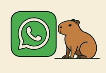 Así se puede activar el “modo Capibara” en WhatsApp en febrero 2026